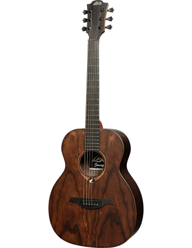 GREEN GUITARS - SAUVAGE - Travel