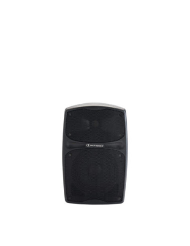 AUDIOPHONY RACER80 EVO