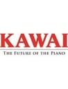 KAWAI